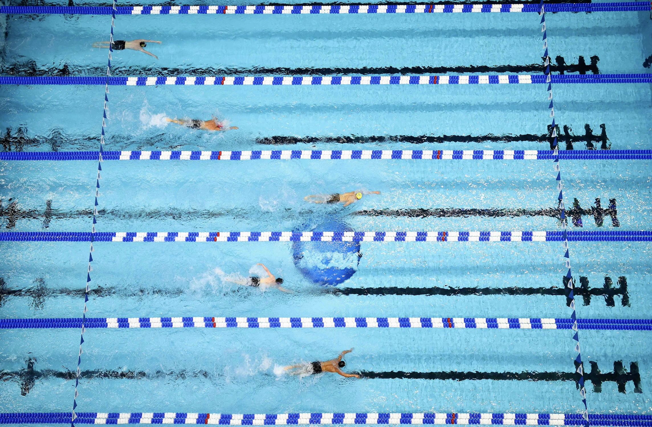 Photo from the DII swimming and diving championship